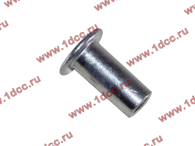Заклепка алюминиевая 10х24 H2/H3 HOWO (ХОВО) 189000340068 AL фото 1 Магнитогорск