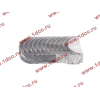 Вкладыши шатунные стандарт +0.00 (12шт) LONGGONG CDM 833 Lonking CDM (СДМ) 13025625 фото 2 Магнитогорск