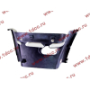 Корпус подножки DF-3251 правый DONG FENG (ДОНГ ФЕНГ) 8405226-C0100-белая для самосвала фото 3 Магнитогорск